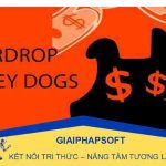 Money Dogs Airdrop – Cơ hội và thách thức